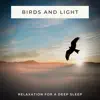 Sleeping Meditation Podcaster - Birds and Light (Relaxation for a Deep Sleep)
